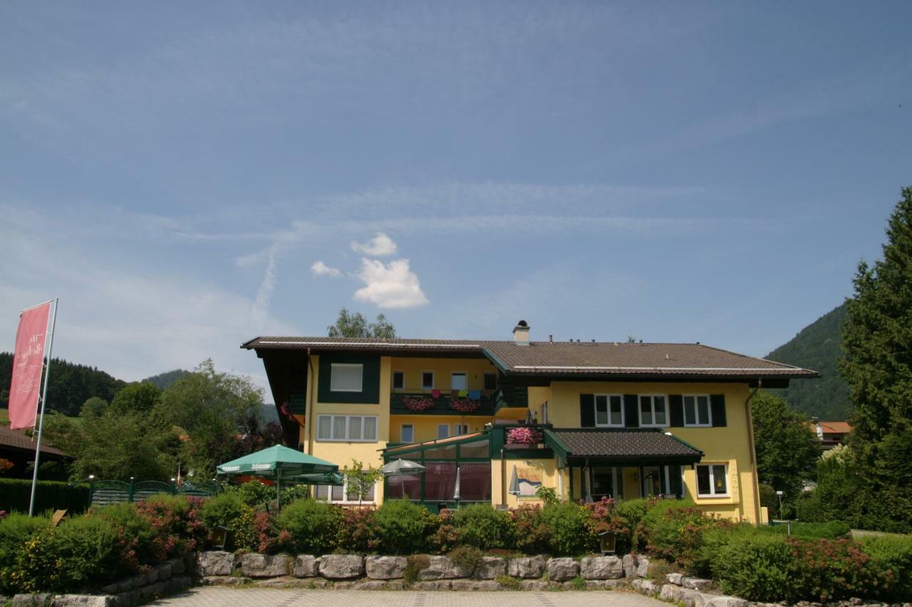 Hotel Hotel-restaurant Bellevue 3*